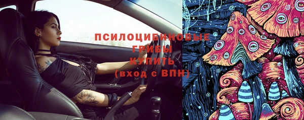 спайс Богородицк