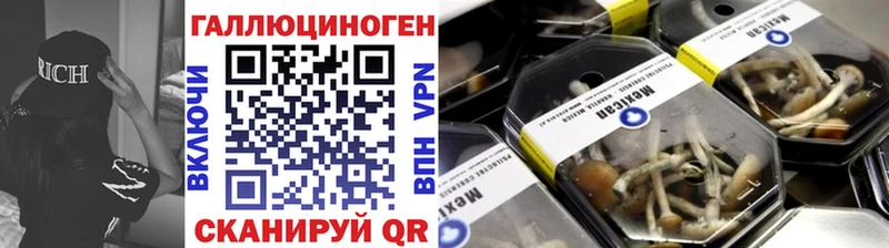 Галлюциногенные грибы мицелий  Власиха 
